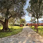 Dante - Casa Con Piscina Privata E Jacuzzi Tra Firenze E Chianti