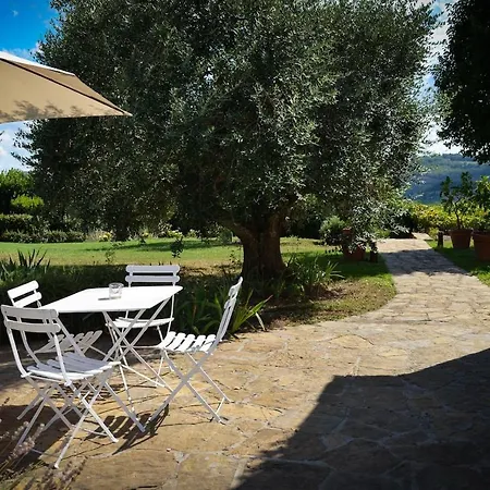 Dante - Casa Con Piscina Privata E Jacuzzi Tra Firenze E Chianti Scandicci