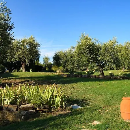 Dante - Casa Con Piscina Privata E Jacuzzi Tra Firenze E Chianti Holiday home